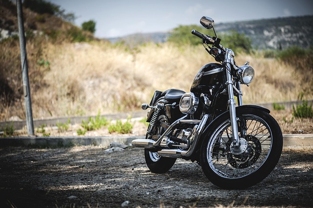 Harley-Davidson