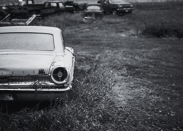 vintage