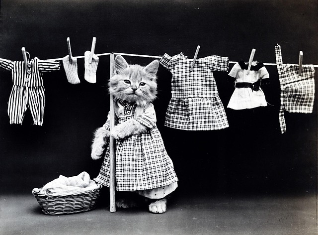 vintage clothing